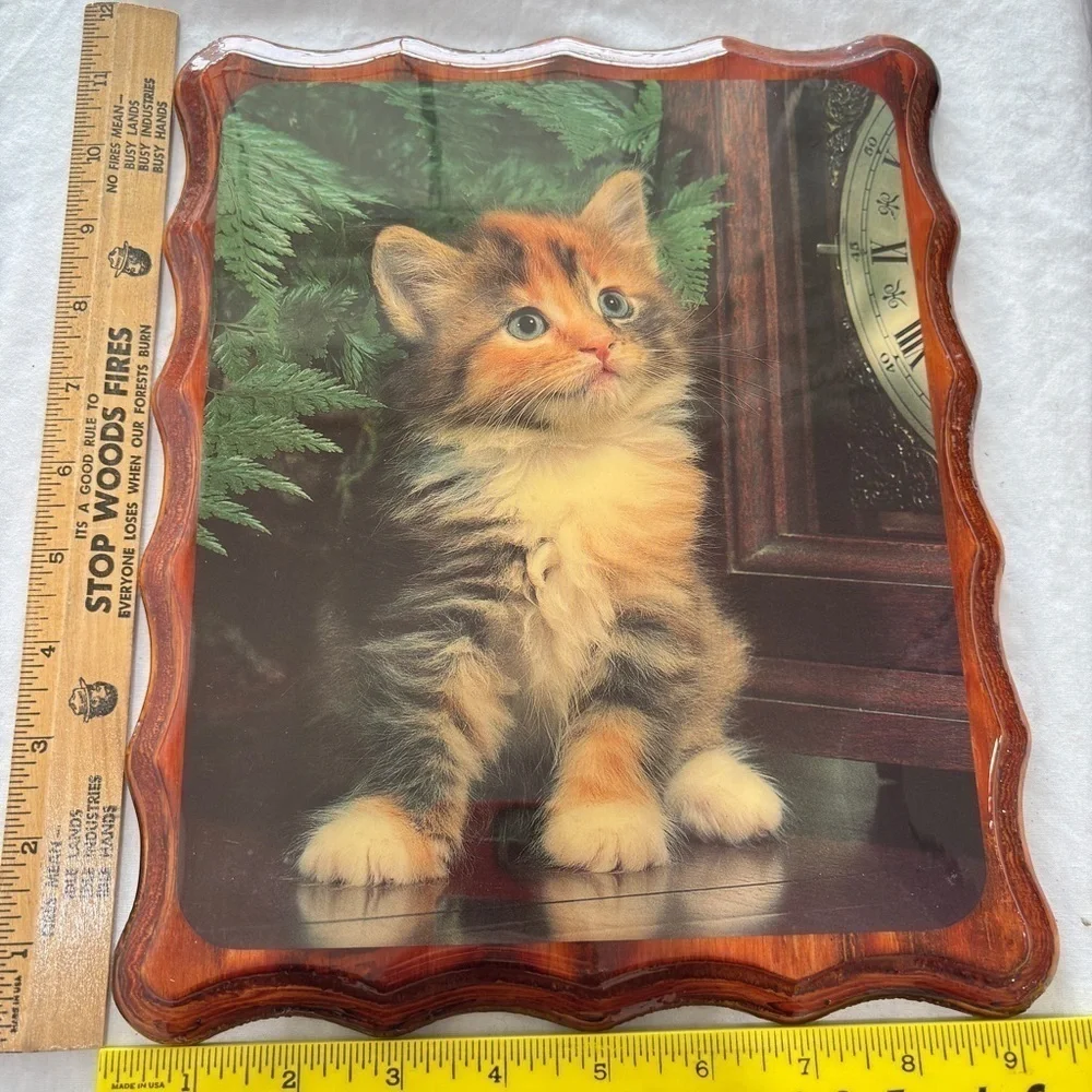 VTG Kitten Picture Lacquered Mounted Decor Calico Cat 9